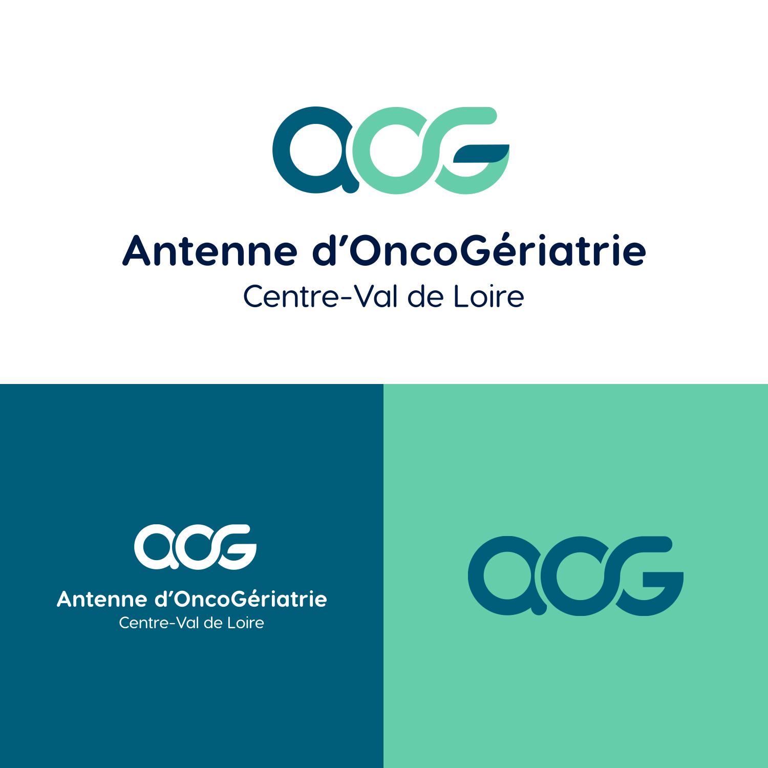 AOG CLV - Planche du Logo